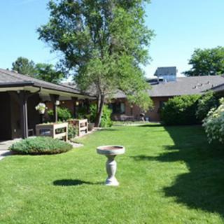 A peaceful courtyard garden featuring a well-maintained lawn, a birdbath, and surrounding greenery.