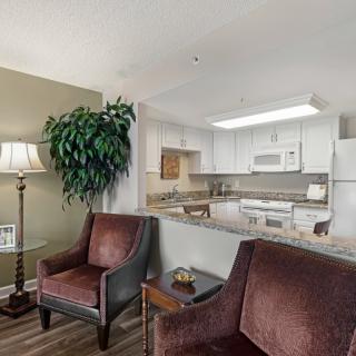 A cozy open-plan living area with a kitchen, armchairs, and a house plant.