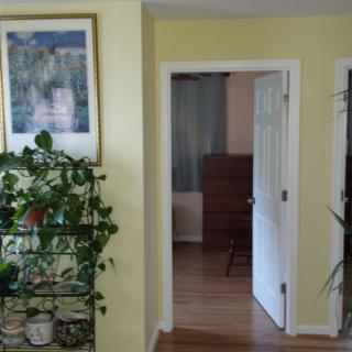 A cozy hallway featuring indoor plants and a view into an adjacent room.
