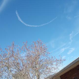 A serene blue sky with a wispy cloud arc, framed by a tree.