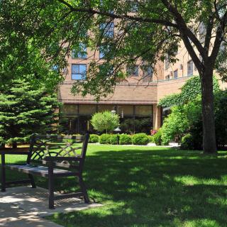 A tranquil garden setting with a bench beneath trees and in front of a building.