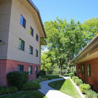 A sunny residential area with a pathway and trees between buildings.