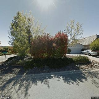 Whispering Pine
