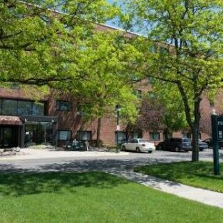 A sunny day in front of a brick building with trees and parked cars.