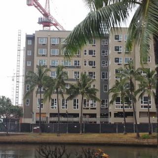 A construction site featuring a multi-story building beside a waterfront, surrounded by palm trees.