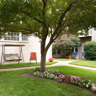 A well-maintained garden with a tree, swing, and colorful flowers.