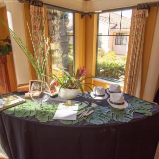 A sunlit dining table with an elegant table setting featuring plants and neatly arranged napkins and glasses.