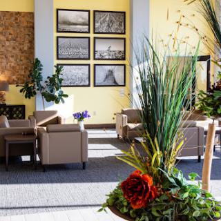 A bright and inviting lobby space featuring comfortable seating and artistic wall displays.