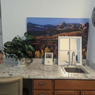 A kitchen countertop with a sink, decorative plant, and landscape artwork.