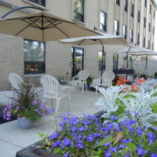 A serene outdoor patio area adorned with colorful flowers and comfortable seating under umbrellas.