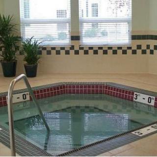 An indoor jacuzzi with tiled surroundings and potted plants nearby.