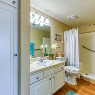 A well-lit bathroom with a vanity, shower, and toilet.