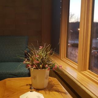 A cozy living room corner with a plant on the table by the window.