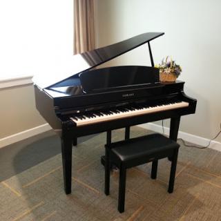 A black grand piano placed in a well-lit room, accompanied by a matching bench.