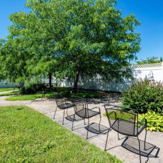 A serene outdoor garden area with chairs lined along a pathway, surrounded by lush greenery and trees.