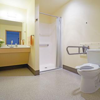 An accessible bathroom featuring a toilet with grab bars, a shower without barriers, and a sink with a mirror.