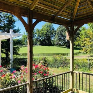 A tranquil view from a gazebo overlooking a lush green landscape, adorned with blooming roses.