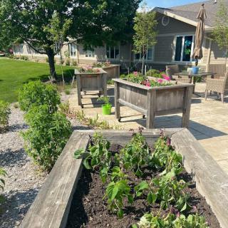 A beautiful outdoor garden featuring raised beds filled with lush plants, perfect for enjoying the sunny weather.