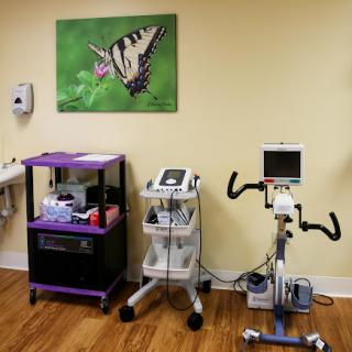 A healthcare room featuring various medical equipment and a decorative butterfly painting.
