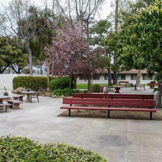 A peaceful park setting with benches and trees lining a pathway.