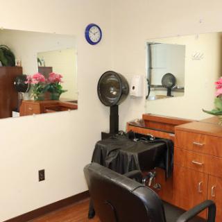 A neatly organized hair salon featuring a styling chair, mirrors, and decorative plants.