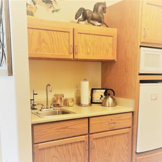 A small kitchen area with wooden cabinets, a countertop featuring a sink and kettle, and a decorative horse on the upper cabinet.