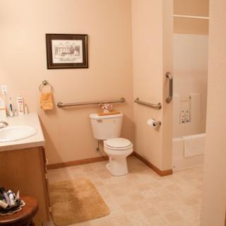 A neatly organized bathroom with a toilet, sink, and shower, equipped with grab bars for accessibility.
