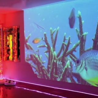 An immersive underwater scene projected onto a wall, enhancing the room's ambiance with vibrant colors.