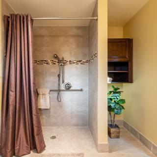 A modern bathroom with a walk-in shower, brown curtain, and indoor plant.