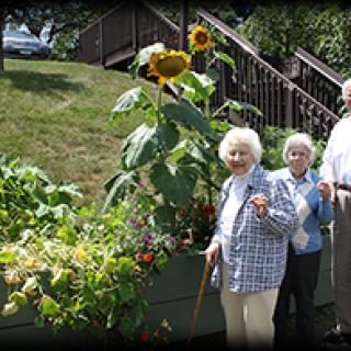 Elderly individuals enjoying a sunny day in the garden with vibrant sunflowers.