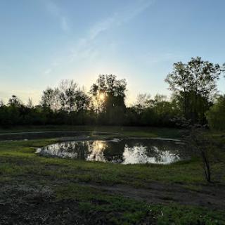 A serene sunset reflecting on a peaceful pond surrounded by lush greenery.
