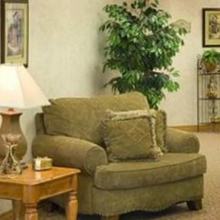 A cozy living room corner with an armchair, side table, lamp, and decorative plants.