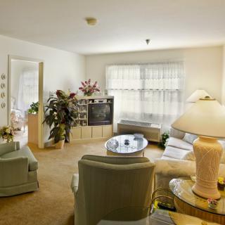 A cozy living room with comfortable sofas, chairs, a large TV, and decorative plants.
