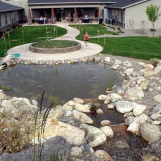 A backyard landscape featuring a pond surrounded by rocks, with a grassy area and a pathway leading to a building.
