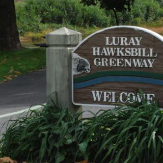 Hawksbill Assisted Living