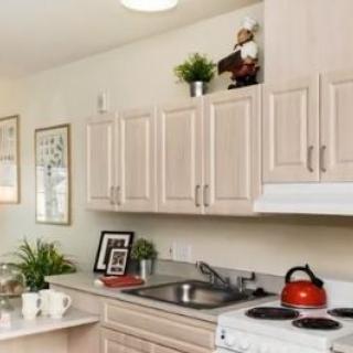 A cozy kitchen with light-colored cabinets, a red teapot on the stove, and decorative plants on the countertop.