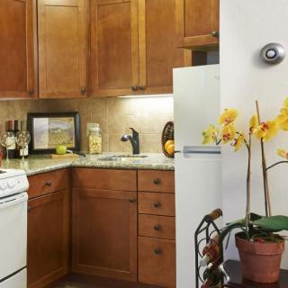 A cozy kitchen with wooden cabinets, a potted plant with yellow flowers, and various appliances on the countertop.