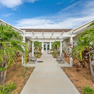 A pathway leading to a building entrance, flanked by palm trees and featuring a pergola.