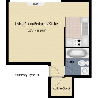 Floor plan of a studio apartment with combined living, kitchen, and bedroom area, bathroom, and walk-in closet.