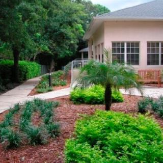 A well-maintained garden with lush greenery and a walkway leading to a building.