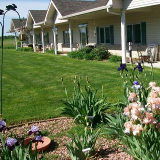 A well-maintained garden with blooming flowers in front of a row of residential buildings.