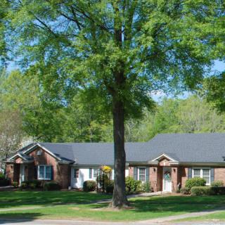 A suburban brick house with a large tree and well-kept lawn.