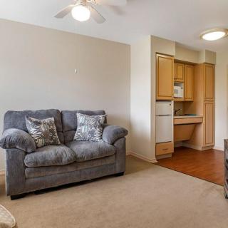 A cozy living room with a plush grey sofa and a compact kitchenette.