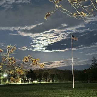 A serene night scene featuring a flag gently illuminated by moonlight, surrounded by trees and clouds.