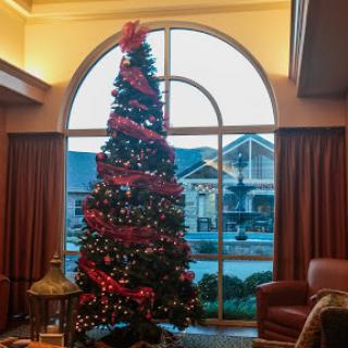 A beautifully decorated Christmas tree stands in a cozy living room, illuminated by natural light coming through the large window.