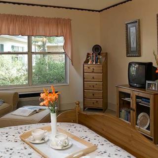 A cozy bedroom with a bed, dresser, television, and flowers on a tray.