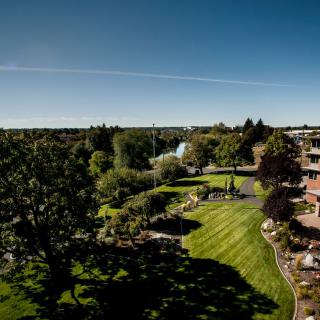 A beautiful garden landscape with lush greenery and a clear blue sky.