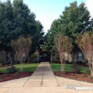 A serene path lined with trees, leading through a well-maintained garden.
