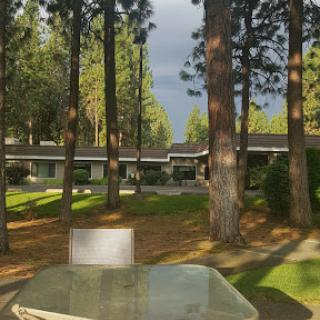 A serene outdoor view featuring a table amidst tall trees and nearby buildings.