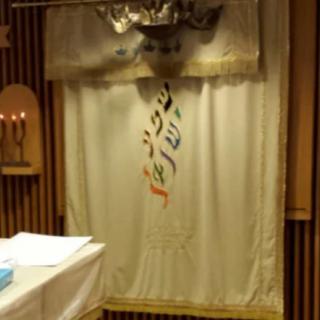 A view of a synagogue ark curtain with Hebrew letters.